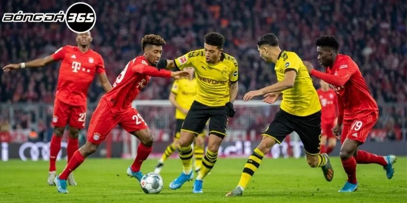 Bayern Munich va Dortmund Bongda365