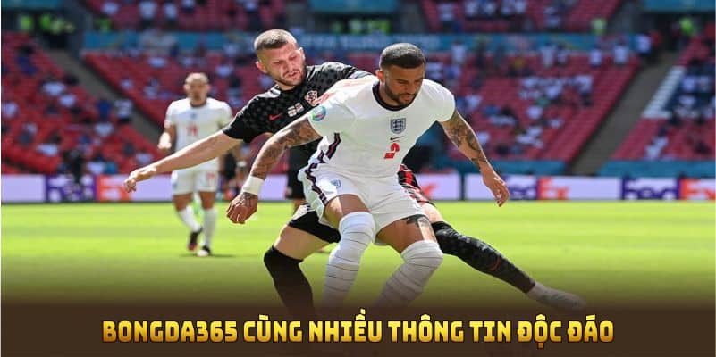 Giới thiệu Bongda365 cùng nhiều thông tin độc đáo